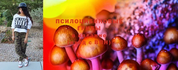 соль курить ск Арсеньев