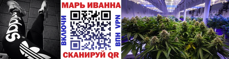 как найти закладки  Светлогорск  МАРИХУАНА конопля 